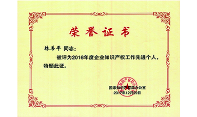 林善平荣获国家“企业知识产权工作先进个人”